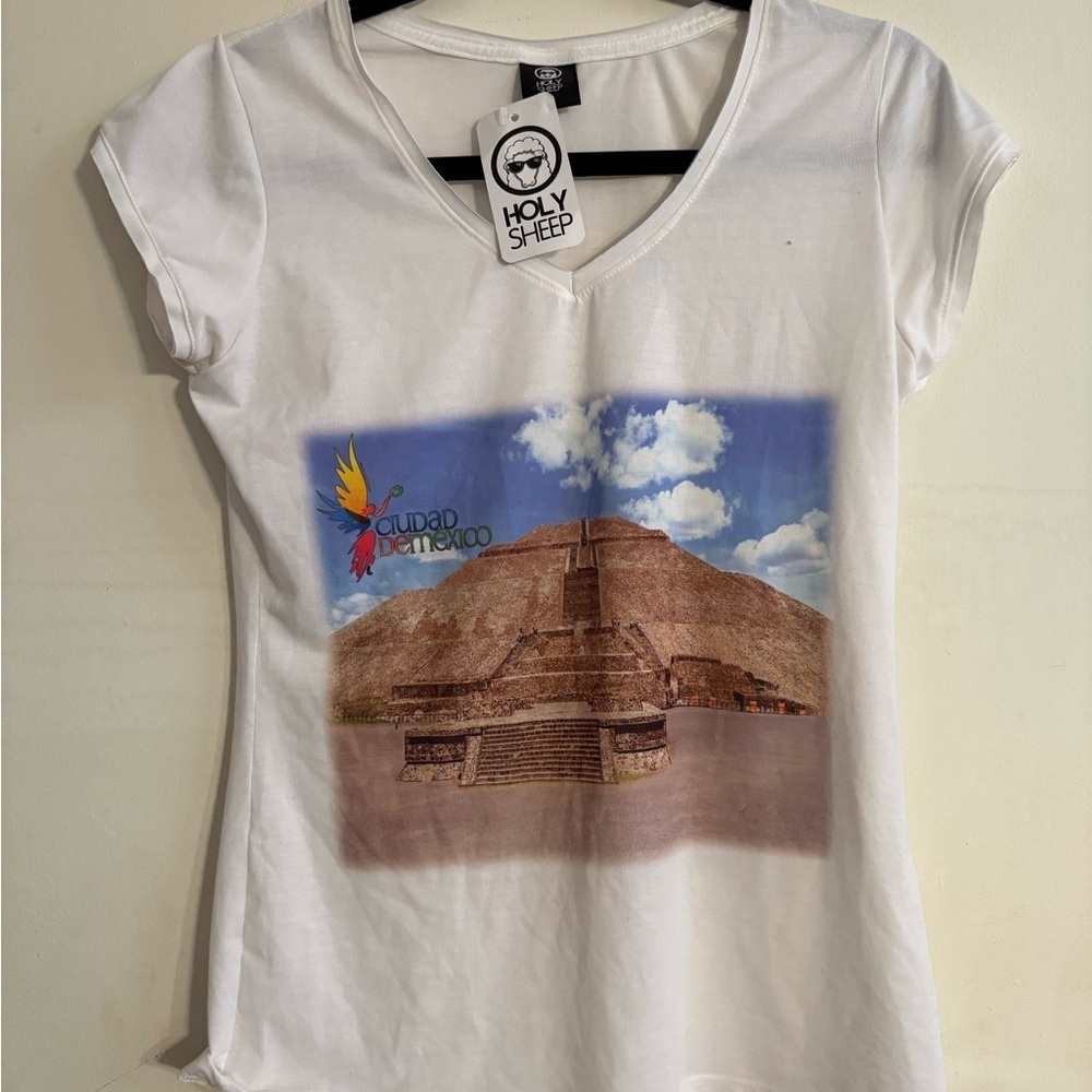 Holy Sheep NWT v-neck t-shirt print of the Pyramid archaeological Mexico. M - Picture 2 of 4